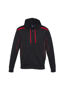 Picture of Biz Collection Men's United Hoodie SW310M