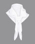 Picture of Winning Spirit Chef'S Scarf CS01