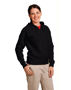 Picture of Winning Spirit Ladies' Full-Zip Fleecy Hoodie FL04