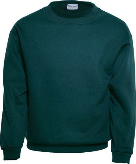 Picture of Bocini Kids Crew Neck Fleece CJ1320