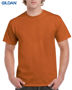 Picture of Gildan Ultra Cotton Adult T-Shirt 2000