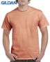 Picture of Gildan Hammer Adult T-Shirt H000