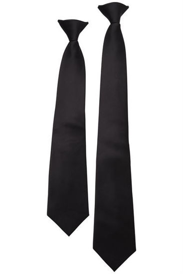 Picture of JB's wear Clip On Tie (5Pack) 5TCT