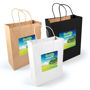 Picture of Express Paper Bag Large LL549