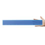 Picture of Transparent 30cm Ruler LL11