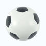 Picture of Hi Bounce Soccer Ball LL3012