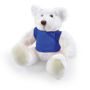 Picture of Frosty Plush Teddy Bear LL40883