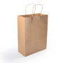 Picture of Express Paper Bag Medium LL548