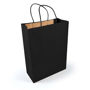 Picture of Express Paper Bag Large LL549