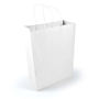 Picture of Express Paper Bag Large LL549
