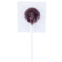 Picture of Corporate Colour Lollipops LL560