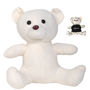 Picture of The Original Signature Calico Bear LL5759