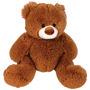 Picture of Coco Plush Teddy Bear LL88120