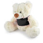 Picture of Coconut Plush Teddy Bear LL88125