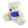 Picture of Coconut Plush Teddy Bear LL88125