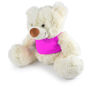 Picture of Coconut Plush Teddy Bear LL88125